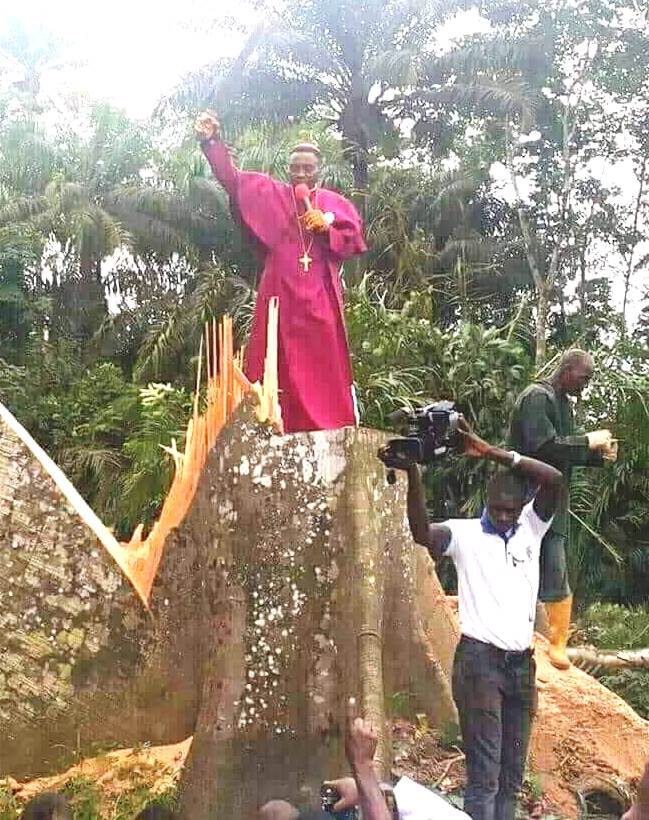 Environmental Genocidists As Crusaders Of Christ In Igbo Land & Worrying  Silence Of The Government