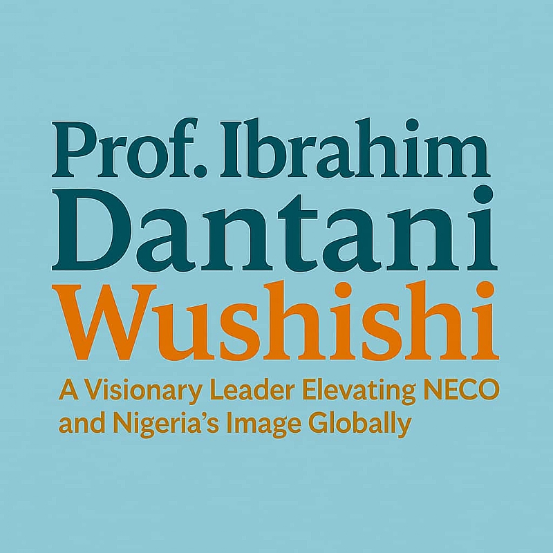 Prof. Ibrahim Dantani Wushishi: A Visionary Leader Elevating Neco And Niger