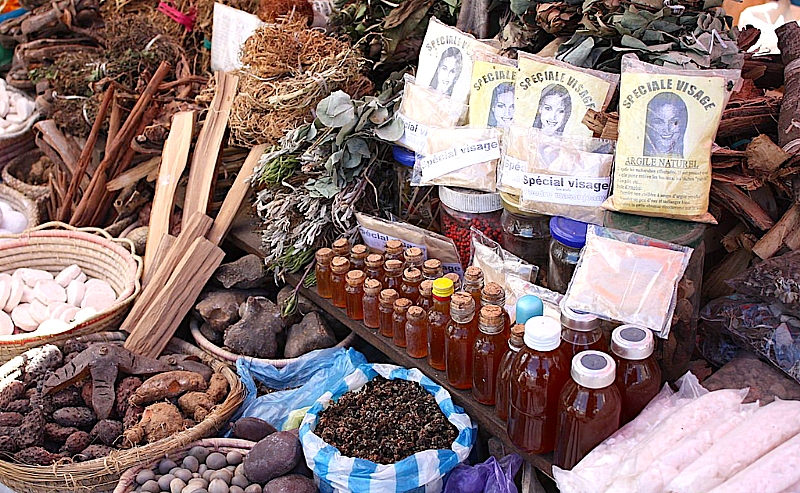 African Leaders Champion Traditional Medicine Strategy While Regulators