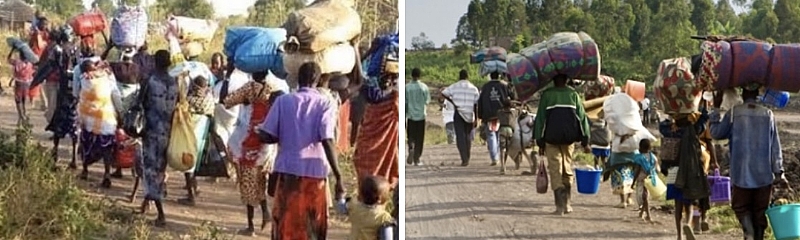 Borno Governor Laments As Residents, Village Head Flee To Cameroon Over