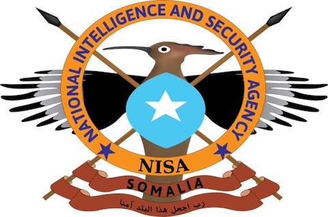 Nisa, International Partners Kill Seven Al-shabaab Militants In Middle