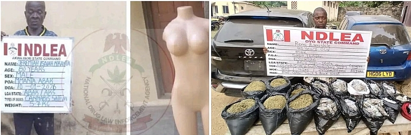 Ndlea Arrests 80-yr-old Man, Dispatch Rider, Uncovers Illicit Drugs Hid