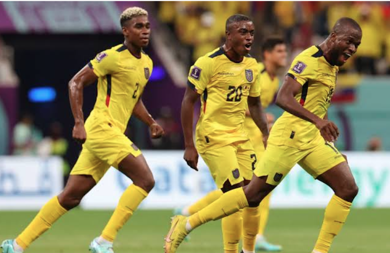 Host Qatar Lose To Ecuador In World Cup Opener