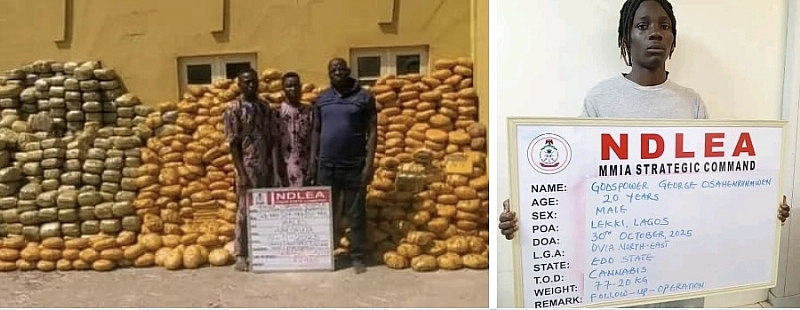 Ndlea Nabs 20-yrs-old Music Artist For Illicit Drug, Recovers Opioids,