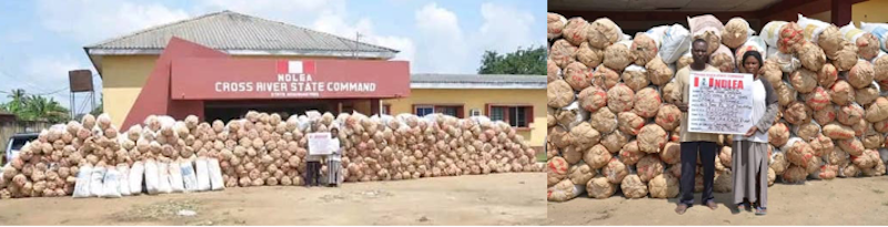 Ndlea Intercepts Meth, Cocaine Consignments In Machine Cylinders At Lag