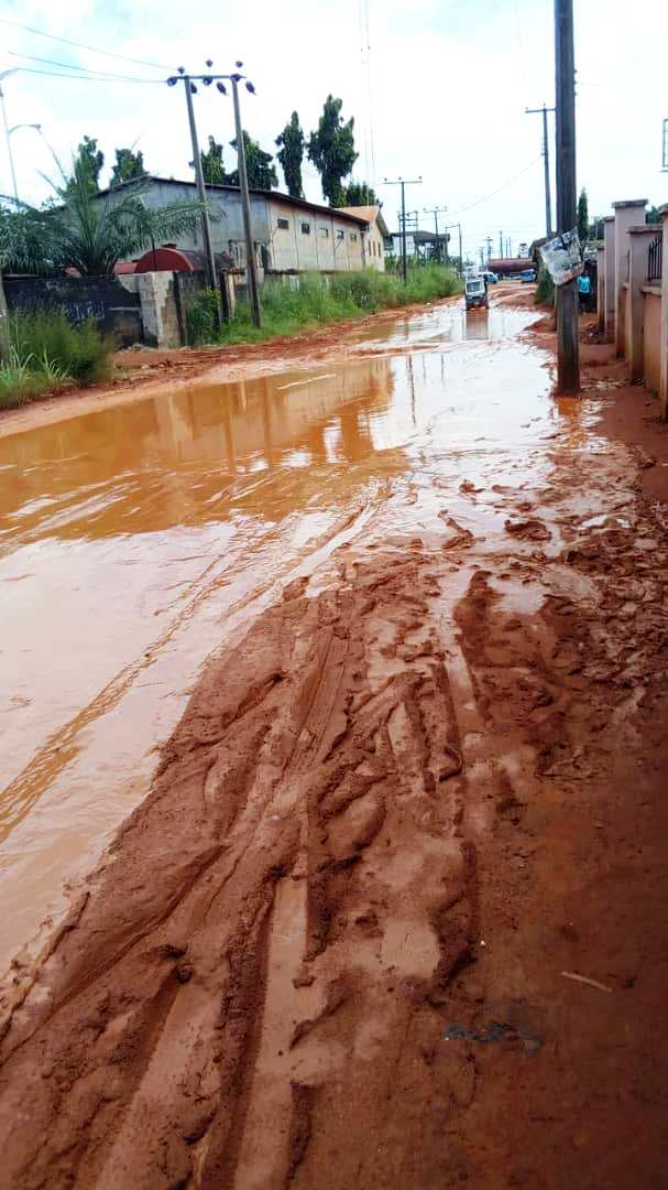 DELTA LGA ELECTION: Pick Those Who Have Your Interest At Heart - The Nigerian Voice