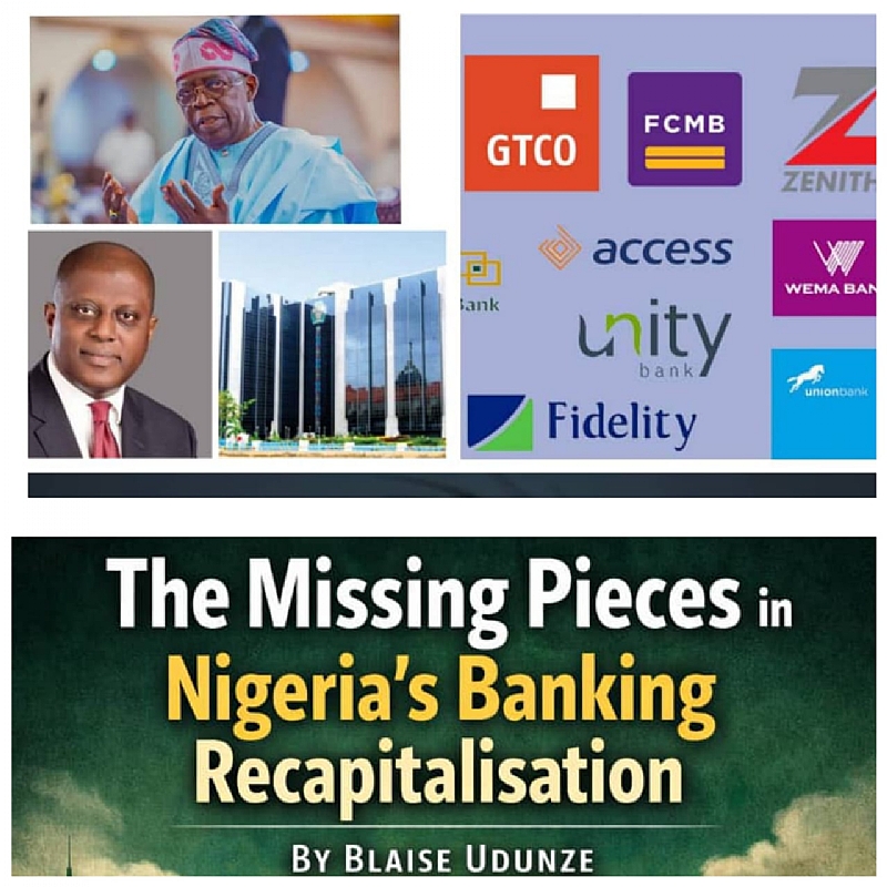 The Missing Pieces In Nigeria’s Banking Recapitalisation