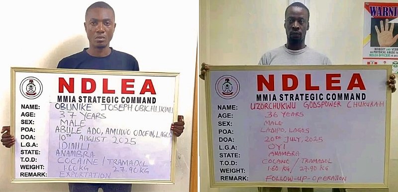 Court Sends 5 Drug Kingpins To 21 Yrs Imprisonment Over Cocaine, Opioid