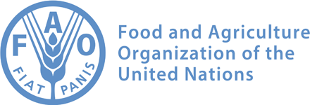 2.6 Million People Facing Critical or Worse Food Insecurity in Borno, Adamawa, Yobe States... FAO - The Nigerian Voice