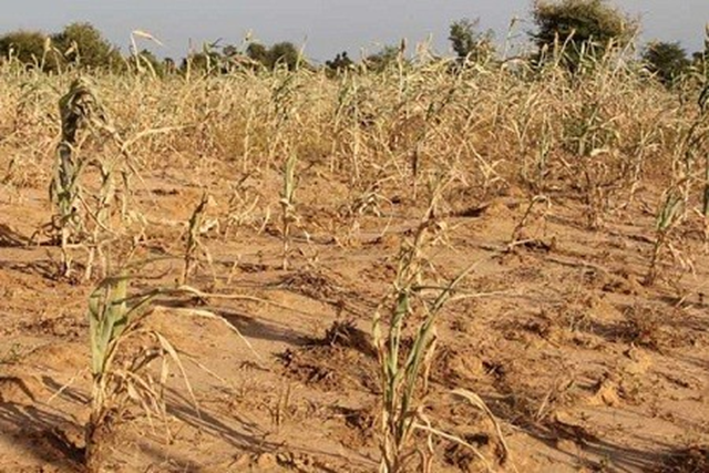 nigeria-and-climate-challenges