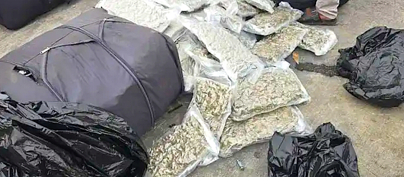 Customs, Ndlea Seize 1.1 Tonnes Of Canadian Loud At Apapa Port