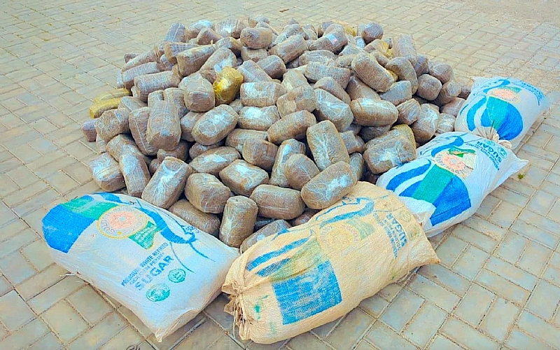 Police In Kano Arrest Drug Dealer, Seize Five Bags Of Cannabis