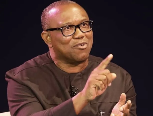 Peter Obi Knocks House Of Representatives For Failing To Criminalize Vo