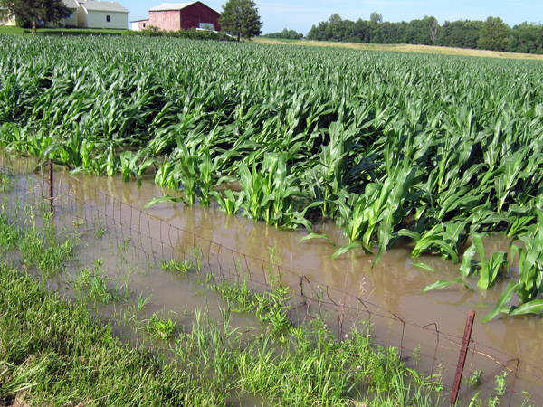 Compensation On The Way For Farmers Affected By Flooding, President ...