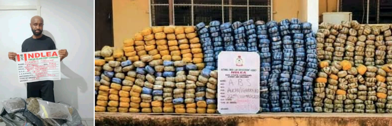 Ndlea Intercepts 1,205 Blocks Of Cannabis, Nabs Wanted Businessman Over