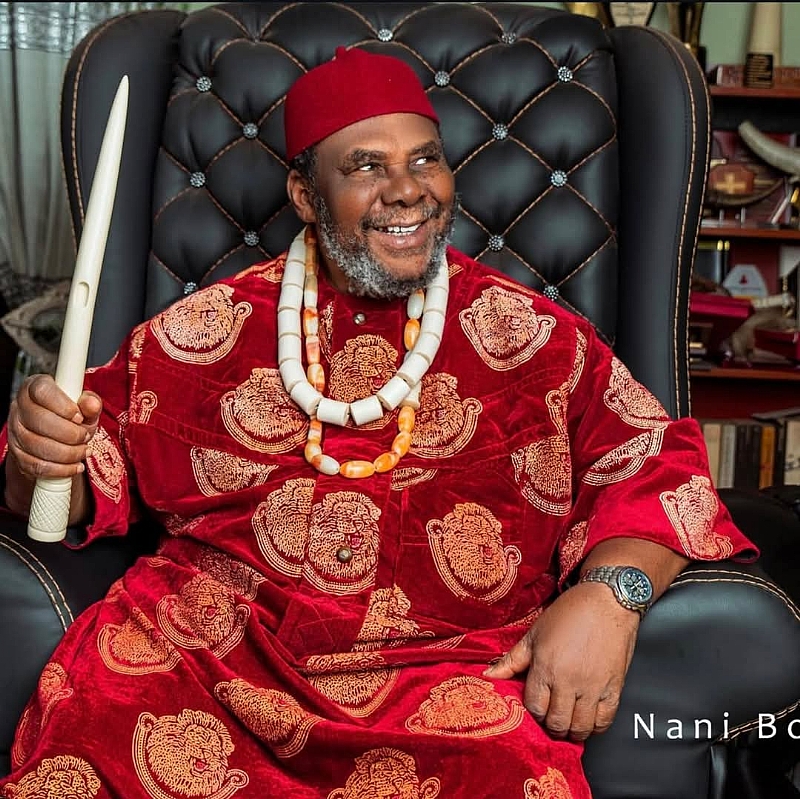 Pete Edochie Issues Press Release Over Death Rumours, Warns Bloggers Agains