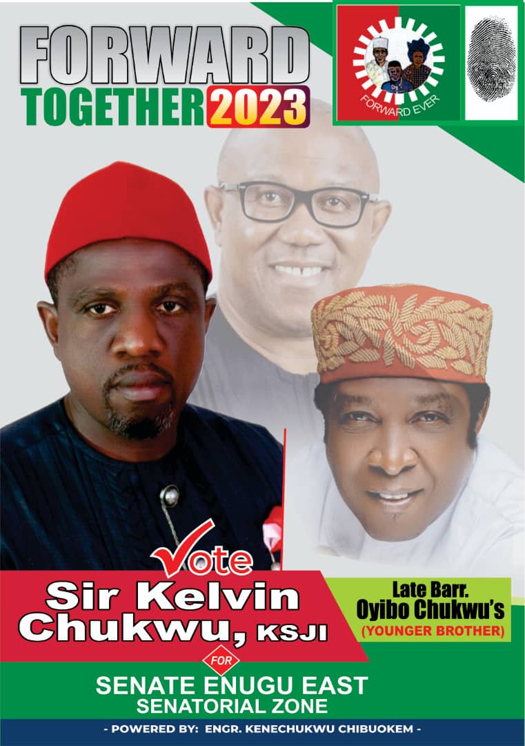 Kelvin Chukwu Emerges Labour Party Candidate In Enugu East Election ...