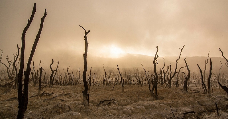 On Track For Extinction Can Humanity Survive