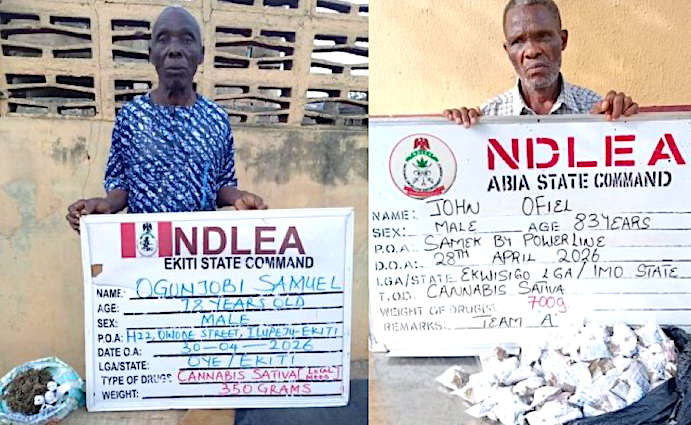 Ndlea Arrests Two Grandfathers In Abia And Ekiti Drug Busts