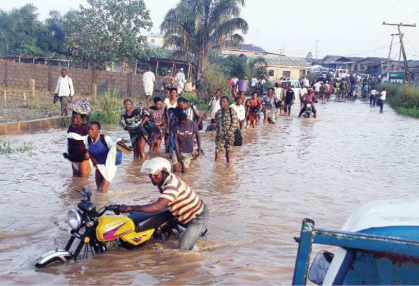 Climate Change Affecting The Entire Ecosystem