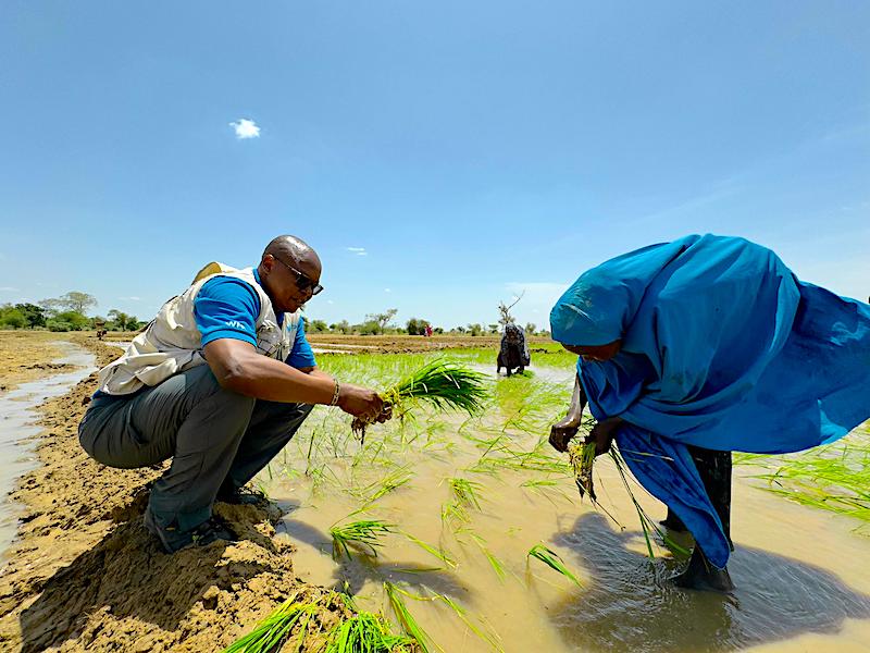 Germany Renews Commitment To Northeast Nigeria Recovery With Second Pha