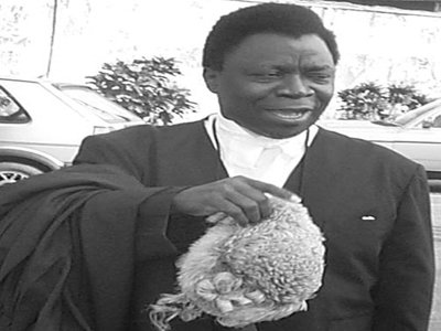 Olu Onagoruwa, Former Attorney-General and Minister of Justice ...