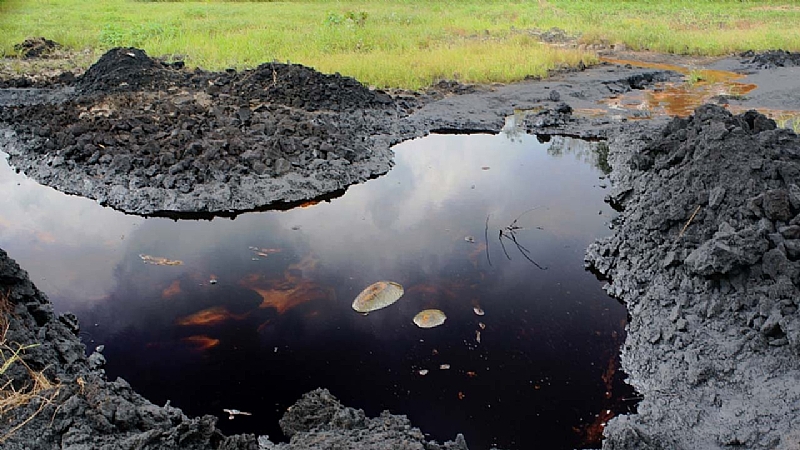 Beyond Oil Spillage In Niger Delta