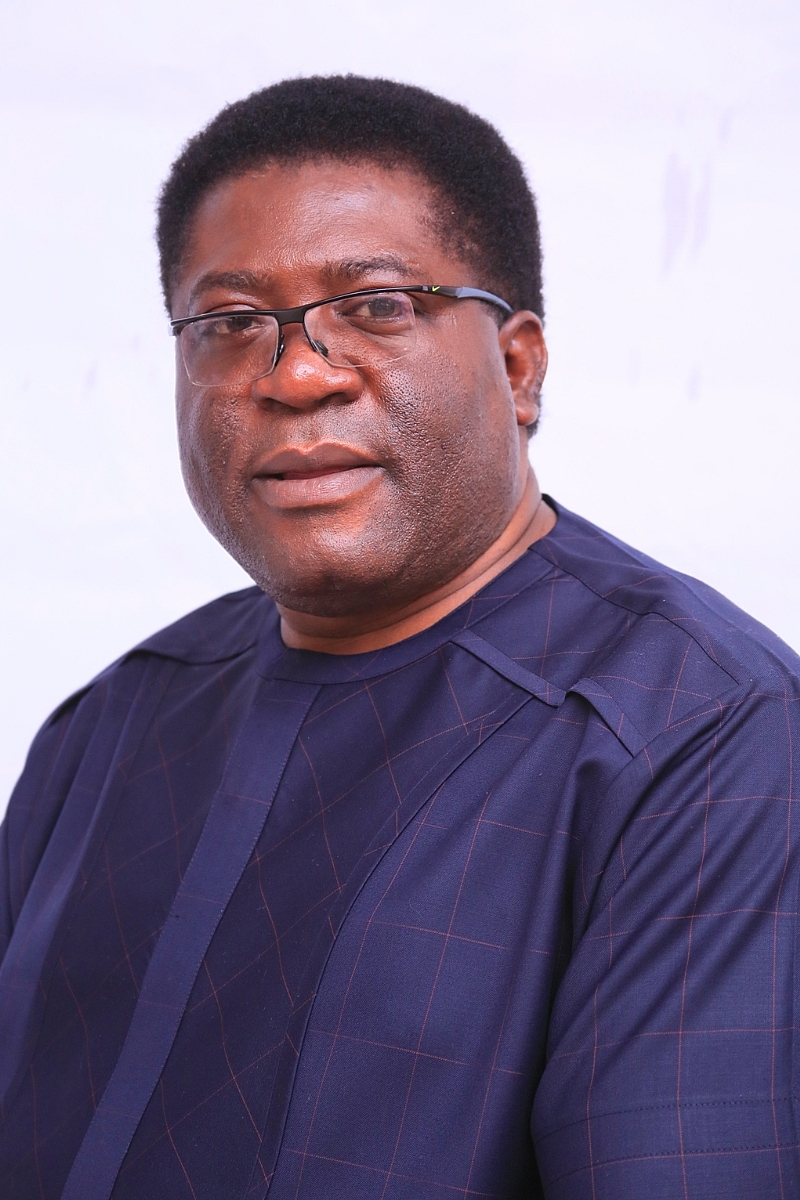 Image result for prince eze madumere
