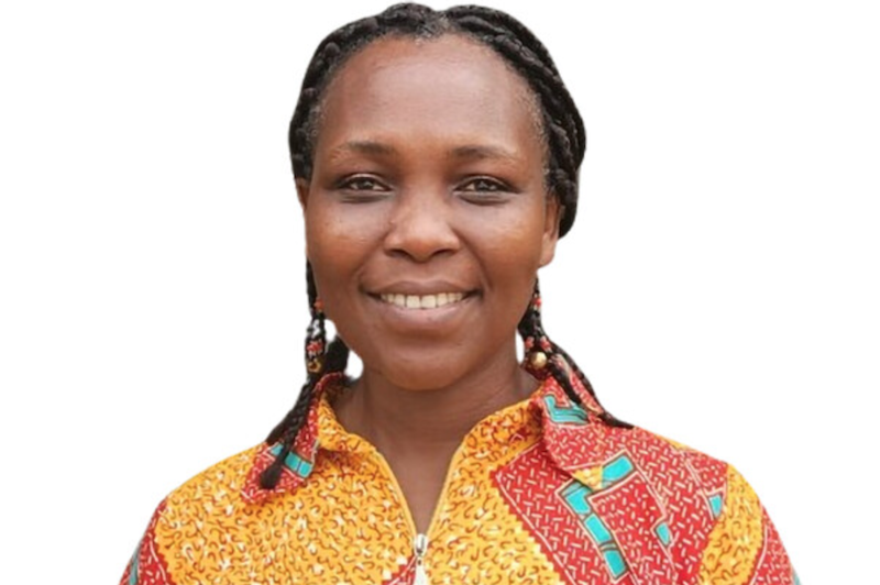 North-west University (nwu) Webinar Explores Social Policy As A Tool For Af