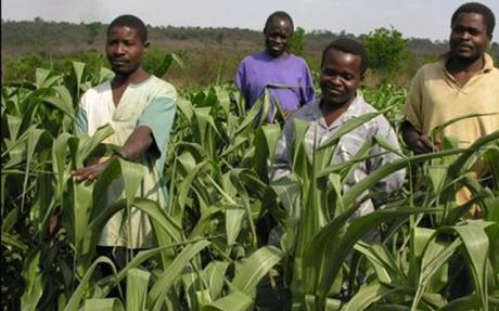 Methodist Church To Partner With Osun On Agriculture