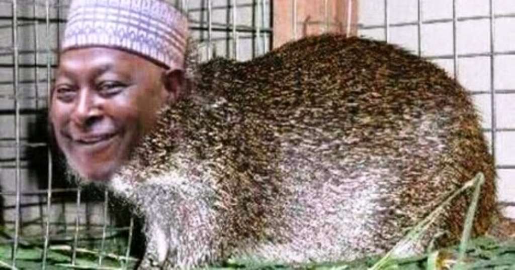 From The Archive The Audacity Of A Grass Cutter