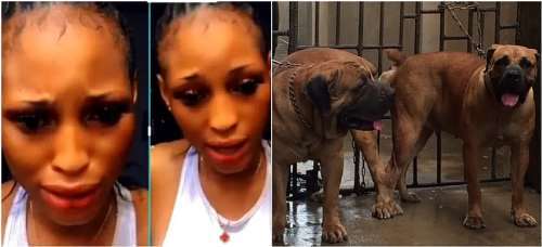 Dog Garl X Video - Police Debunks The Death Of Girl Captured In Viral Sex Video With Dog