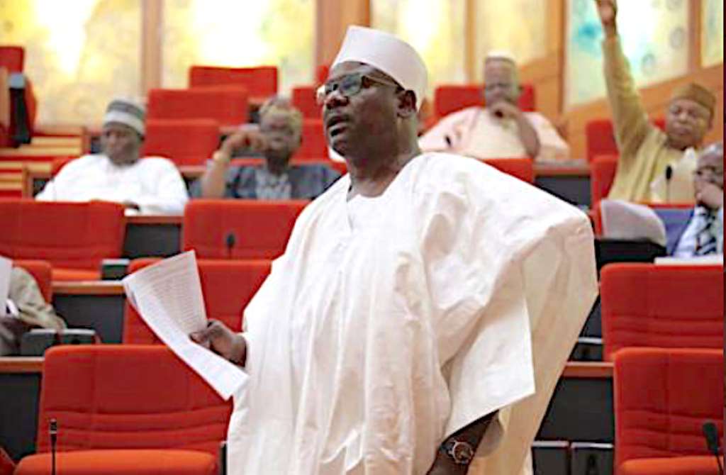 Senator Ali Ndume Advocates For Part-Time National Assembly To Save Cost Amid COVID-19