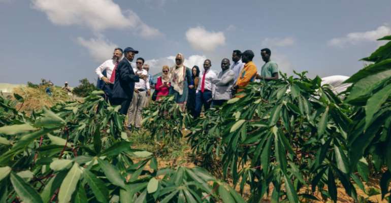 At City University in Mogadishu, IOM supports a seed bank preserving indigenous crops, nurturing climate resilience and environmental peacebuilding.
