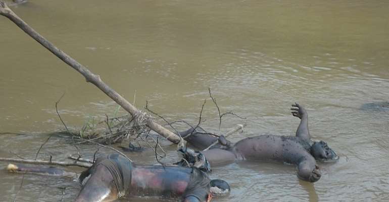 some of the corpses at the Ugwuoba Ezu River