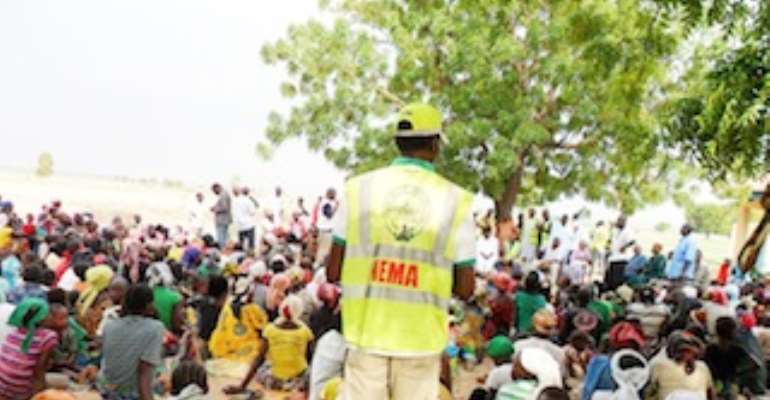 Boko Haram displaced over 500 people in Damboa â€“ NEMA