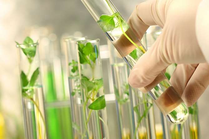 Biotechnology environmental footprints BioEconomy 