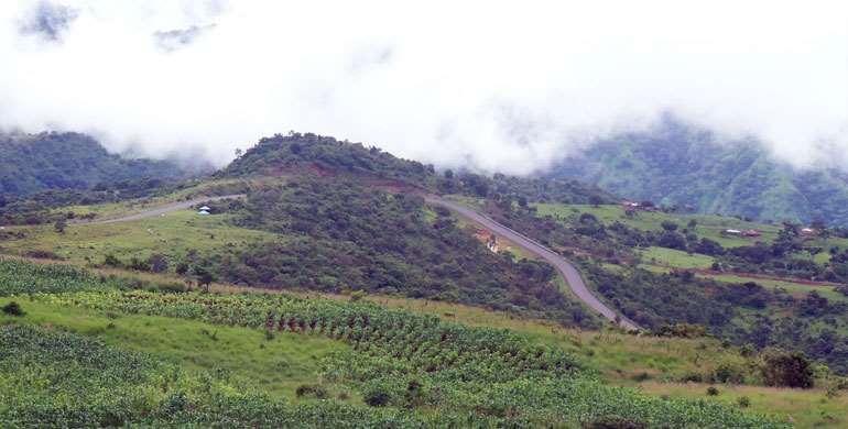 mambillaplateau